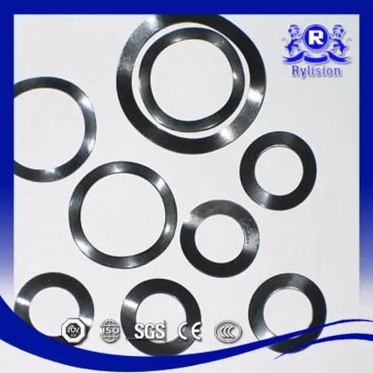 X2CrNi19-11 Stainless Steel Nord Lock Washer