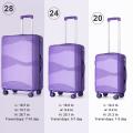 3 piezas Spinner Spinner Hard Shell Luggage Set de maleta