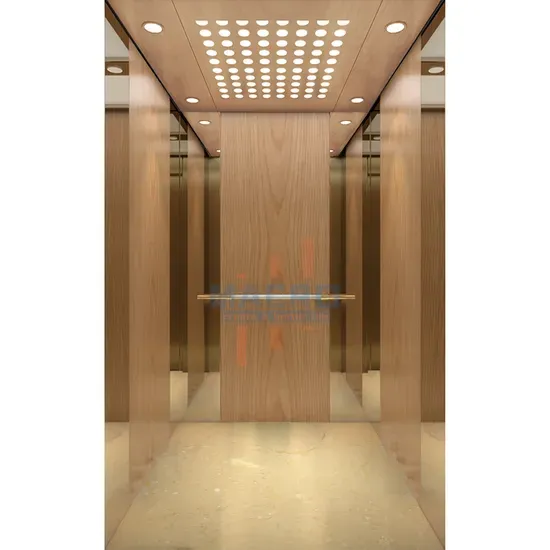 Residential Passenger Elevator with Customized CE EAC Manufacturer Funicular Solution