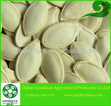 Free Sample for 2013 Crop Pumkin Seeds
