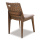 Modern Indoor Wooden Rattan Chair