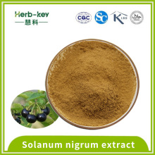 Detumeszenz 10: 1 Solanum Nigrum Extrakt