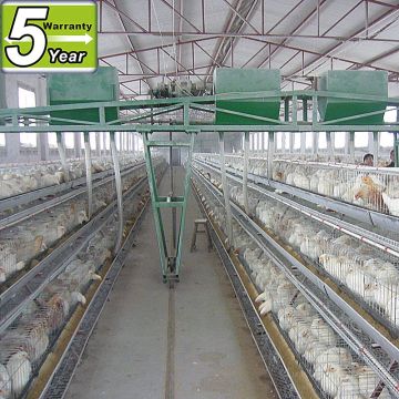 Cheap chicken home chicken egg laying cage/chicken cage