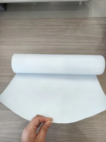 Compostable Thermoforming Polylactic Acid PLA Sheet