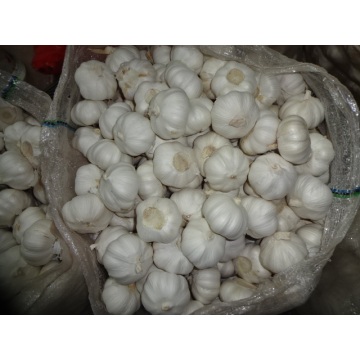 Pure White Garlic 2020 1Kg Bag