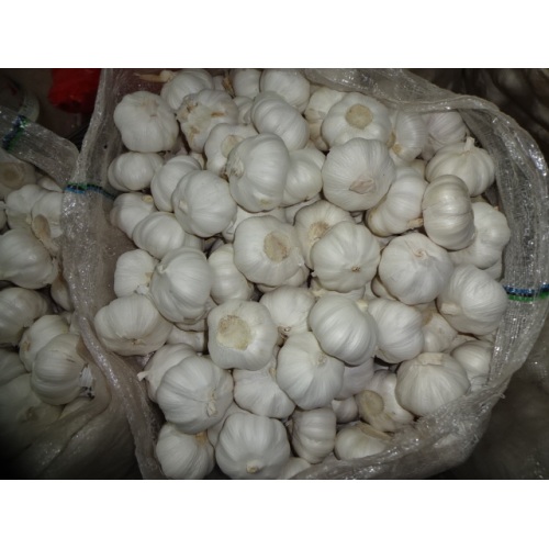 Pure White Garlic 2020 1Kg Bag