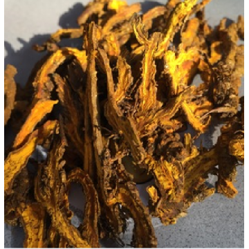 Coptis chinensis medicinal materials shizhu