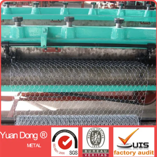 Normal and reverse twist hexagonal wire netting machine