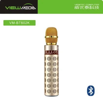 2017 Viewtec BT602 K Song Bluetooth Speaker