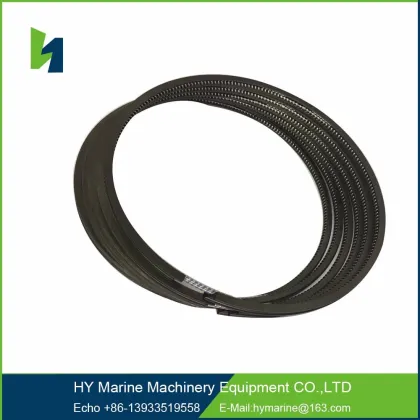 Piston Ring for 6HA Ship Engine