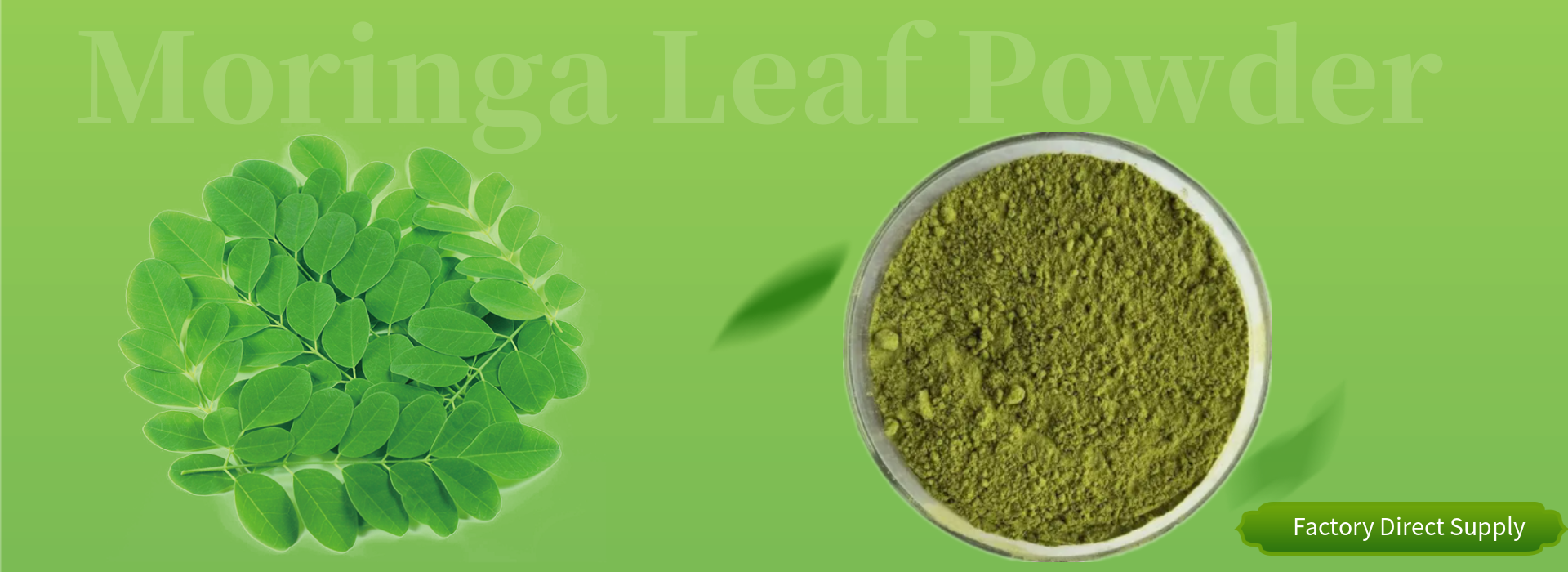 Pure Moringa Leaf Powder