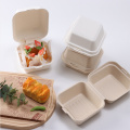 Compostable Pulp Takeaway Box for Burger, Bento & Dessert
