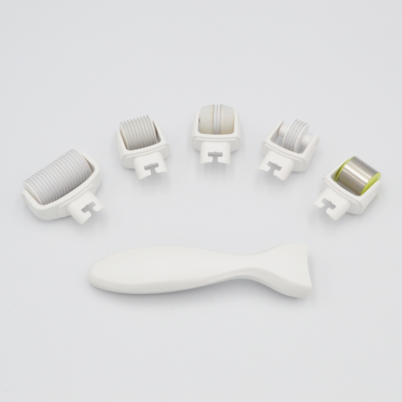 MNS 5 in 1 Skin Needling Roller Kit