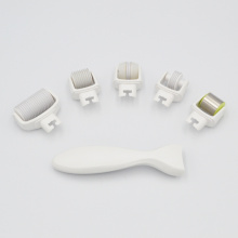 MNS 5 in 1 Skin Needling Roller Kit