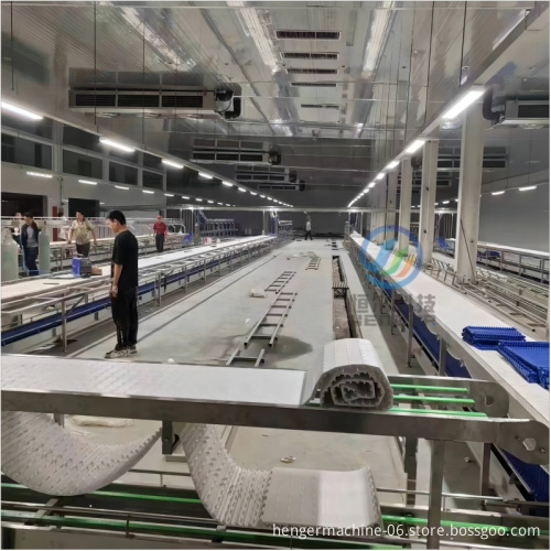 Pig Slaughter and Meat Processing Equipment: Abattoir Cutting and Deboning Conveyor