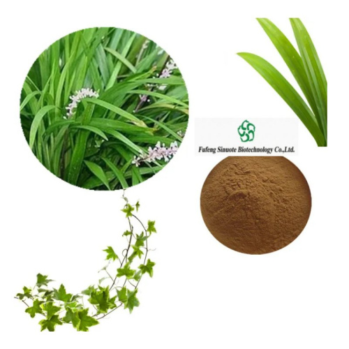 Organic Ophiopogon Japonicus Extract for Herbal Remedies and Supplements