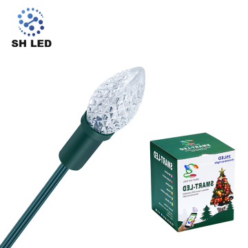 outdoor decoration RGB DC12V LED Christmas Lights