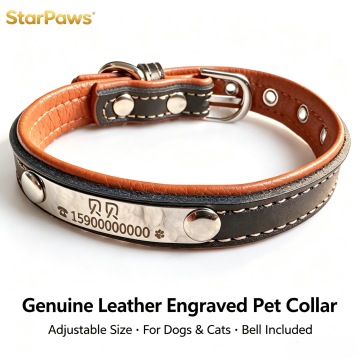 Custom Engraved Leather Dog Collar with ID Tag