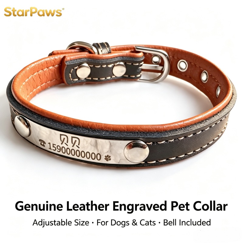 Custom Engraved Leather Dog Collar with ID Tag