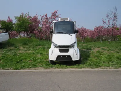 Kfc Food Delivery Van with Insulated Boxes