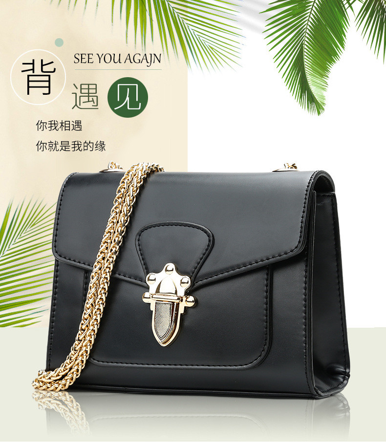 lady hand bags s18078 (1)