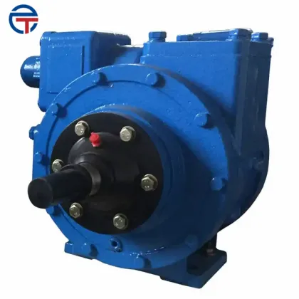 YB Series Diesel/Fuel/Gasoline Rotary Vane Pump with V-Belt Drive