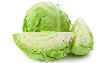 Organic Healthy Vegetable Of Cabbage