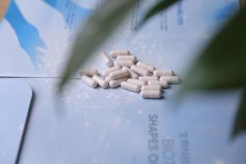 Supplément alimentaire Bifidobacterium longum 50b CFU / g