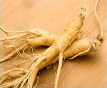 Ginseng