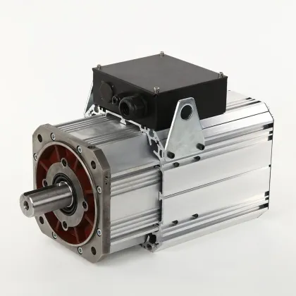 Permanent Magnet Synchronous Motor for Electric Vehicles