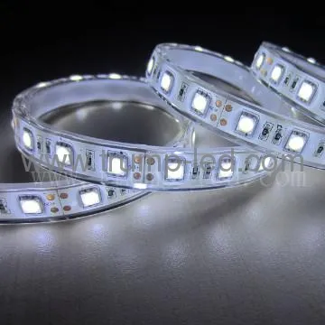 CE&RoHS strip led smd 5050 12000k