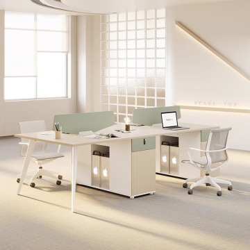 Modern Office Workstation Desk with Partition