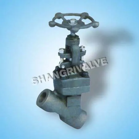 Forged Y Type Globe Valve (Type: J61F/H/W)