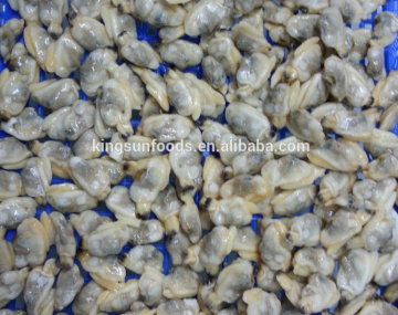 New Season Arrival Grade A Frozen Clam Meat