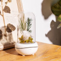 Flower aromatherapy Scent Diffuser machine