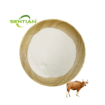 Supply Collagen Protein Hydrolyzed Bovine Collagen Powder