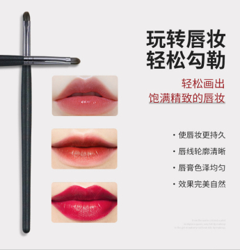 Private lable Lip Brush professional