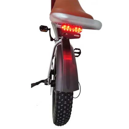 Top Quality Electric Bicycle