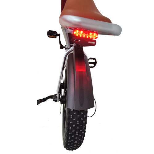 Top Quality Electric Bicycle