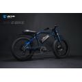 Powerful electric bike 48V 1000W ebike