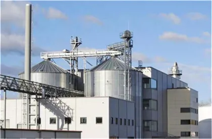 OEM Custom Formulation Glucosamine & MSM plus Chondroitin