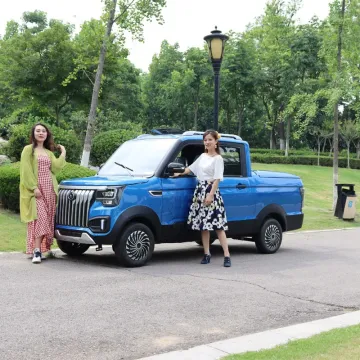 Hot Selling New Electric Double Row Pickup Truck 4-Wheel 4-Seat Adult Electric Car