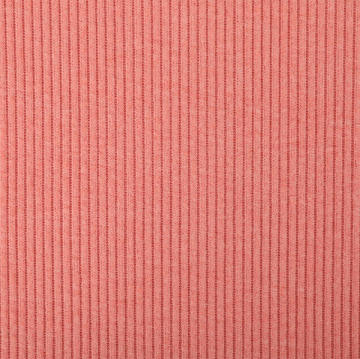 Polyester Rayon Span 2*2 Rib Two Sides Fleece Fabric