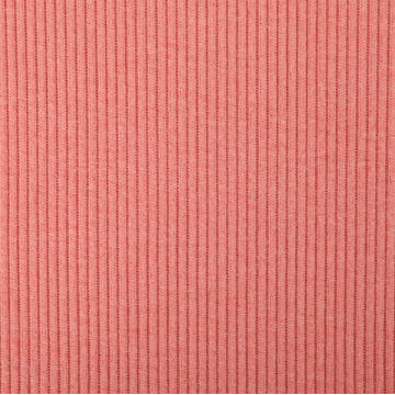 Polyester Rayon Span 2*2 Rib Two Sides Fleece Fabric