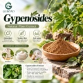 Gypenosides 20%–98% Extrato de Gynostemma pentaphyllum para formulações cosméticas e alimentícias
