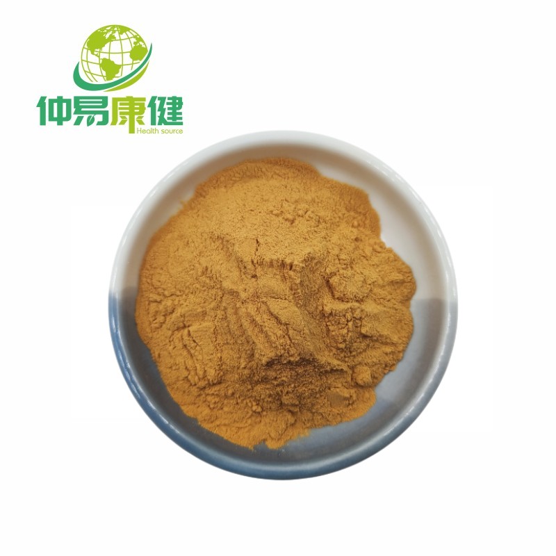 Food grade lions mane extract powder