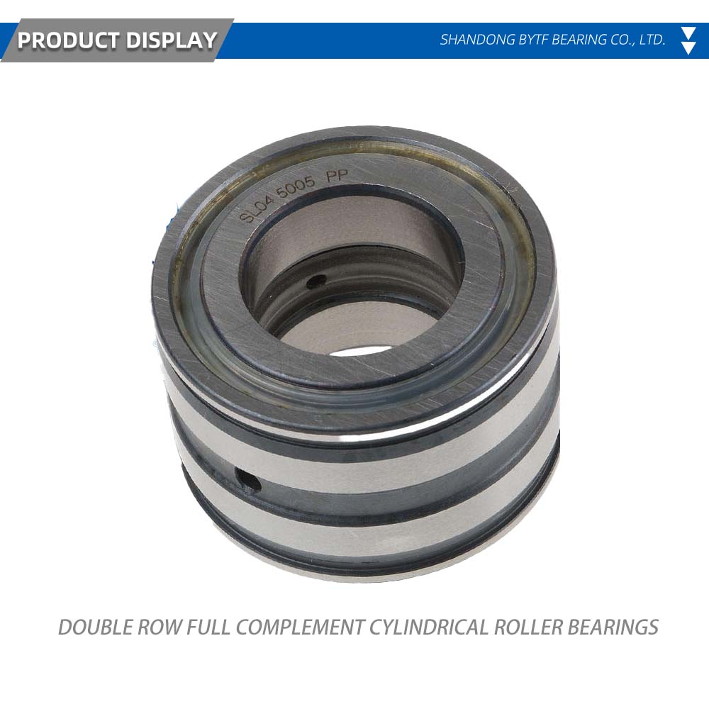 Double Row Full Complement Cylindrical Roller Bearings x