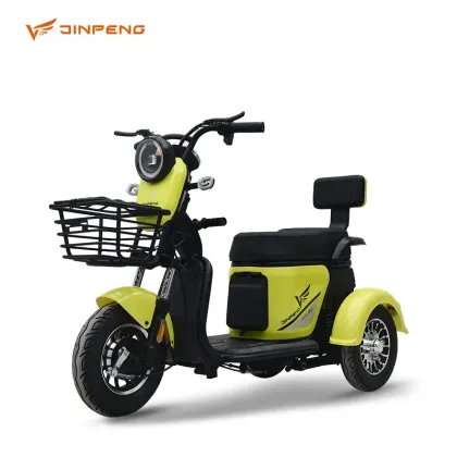 Adult Electric Tricycle Factory Support Tuk Tuk Electric