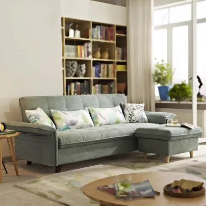 Morden living room guest beds