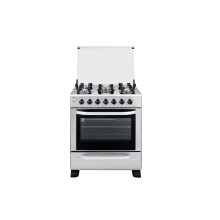 S/S 5-Burner Gas stove with oven in Bolivia